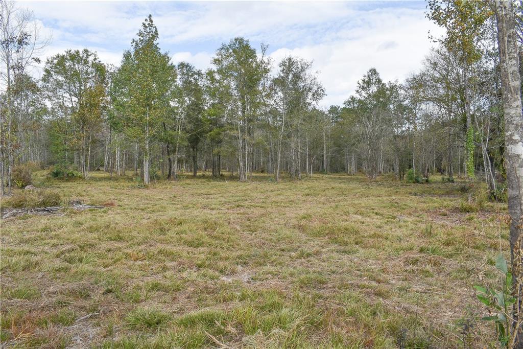 0 North Range Road Livingston, LA 70754 - Photo 6 of 7