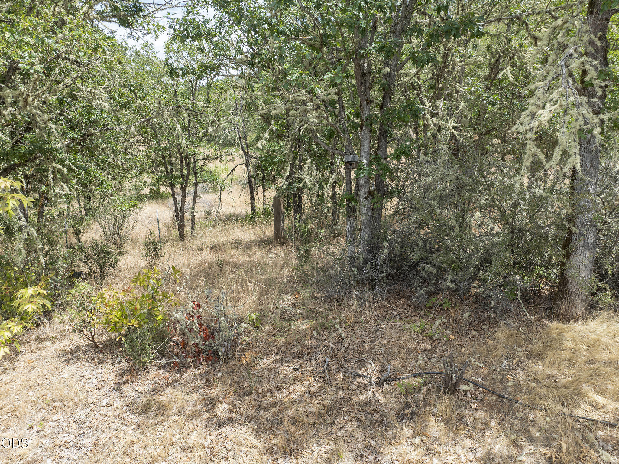 279 Ridgefield Road Grants Pass, OR 97527 - Photo 47 of 62