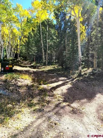 a view of a yard with plants and trees