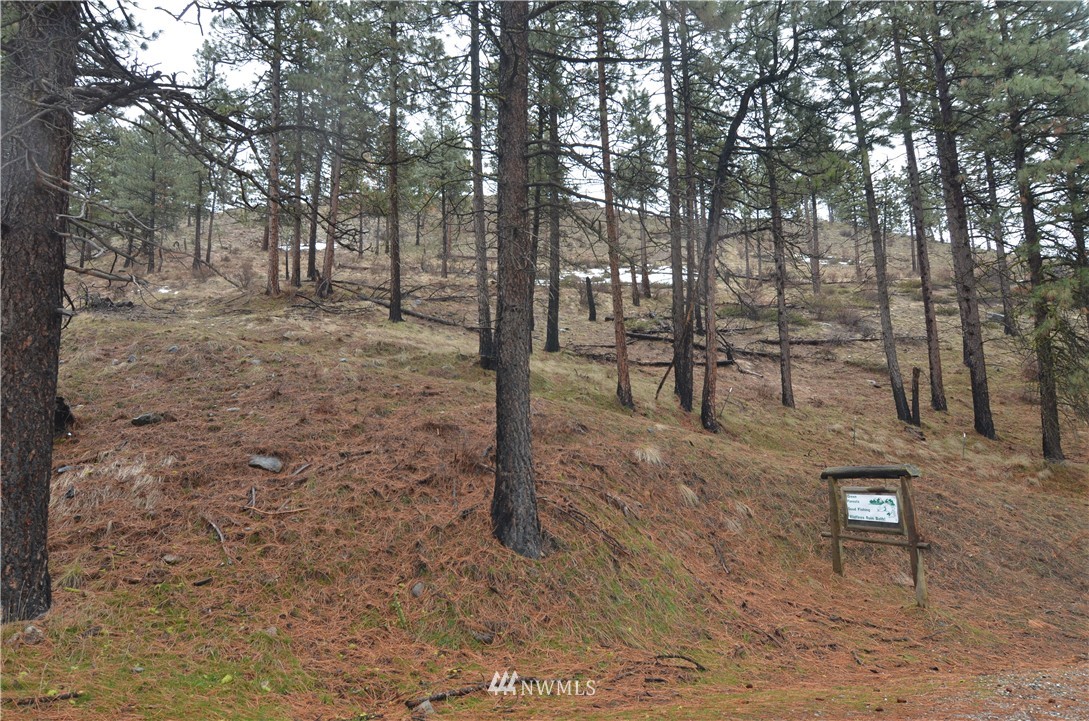 -nna Grade Creek Road Manson, WA 98831 - Photo 1 of 6 Gallery Image 1