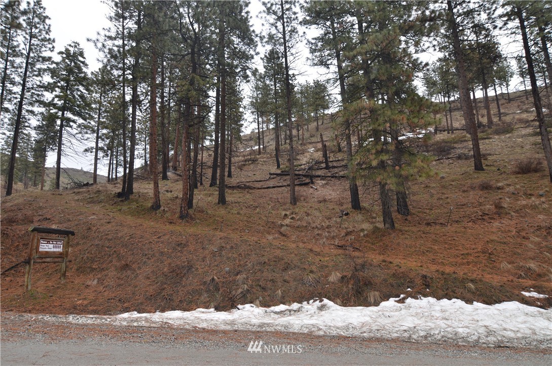 -nna Grade Creek Road Manson, WA 98831 - Photo 4 of 6 Gallery Image 4
