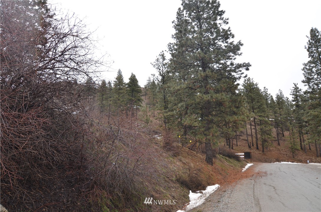 -nna Grade Creek Road Manson, WA 98831 - Photo 5 of 6 Gallery Image 5