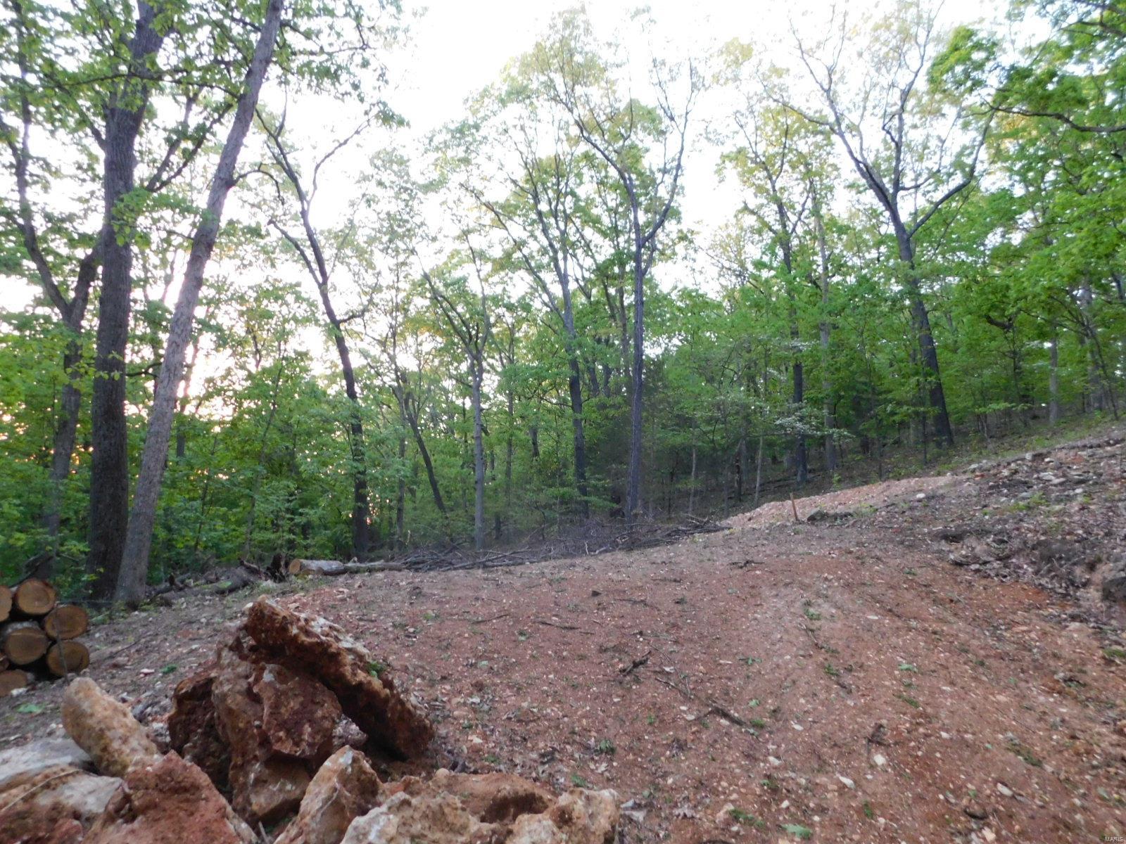 16 Maple Tree Lane Eureka, MO 63025 - Photo 11 of 14