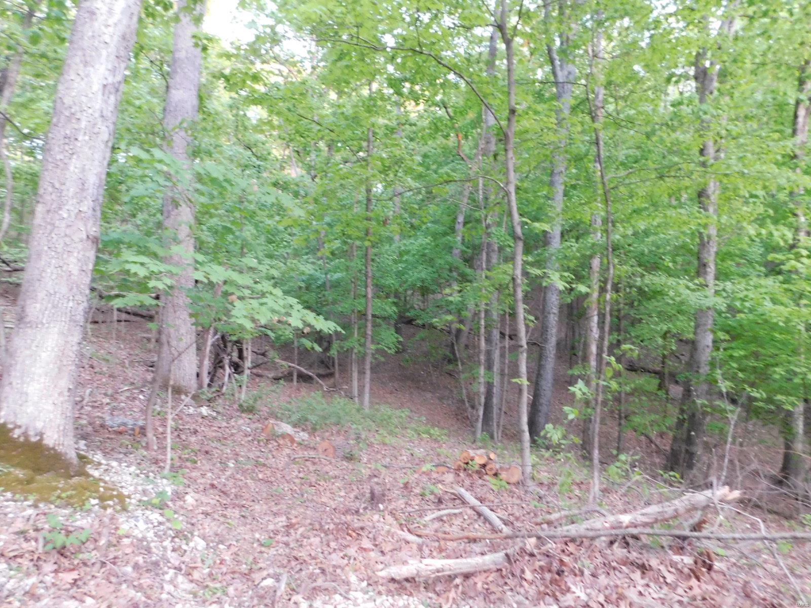 16 Maple Tree Lane Eureka, MO 63025 - Photo 12 of 14