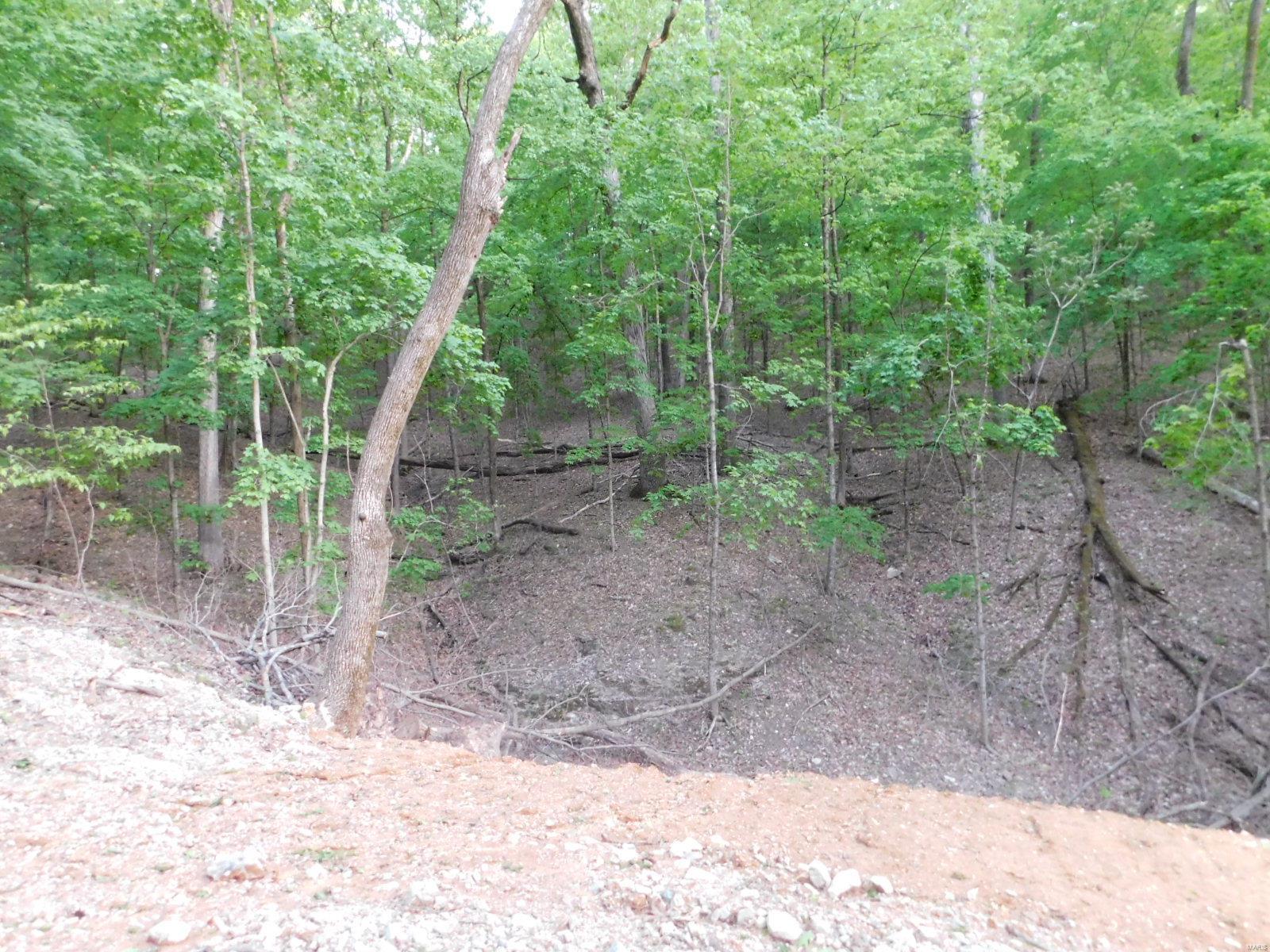 16 Maple Tree Lane Eureka, MO 63025 - Photo 13 of 14