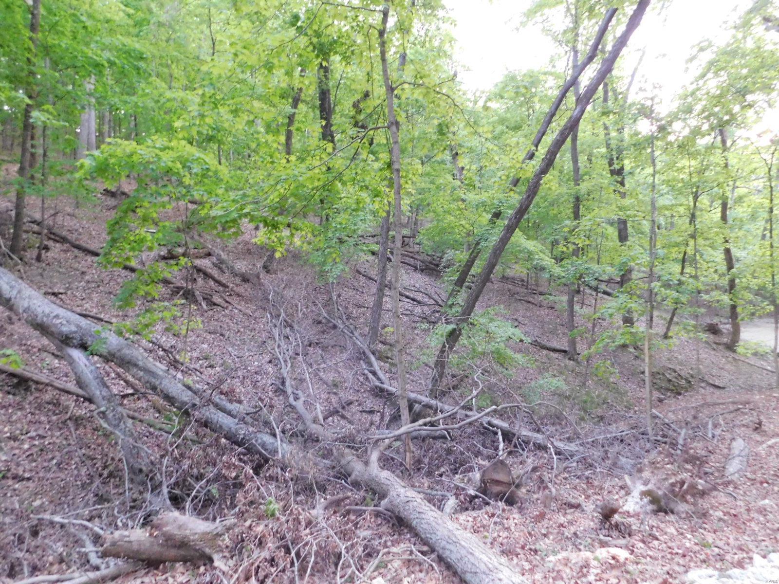 16 Maple Tree Lane Eureka, MO 63025 - Photo 14 of 14