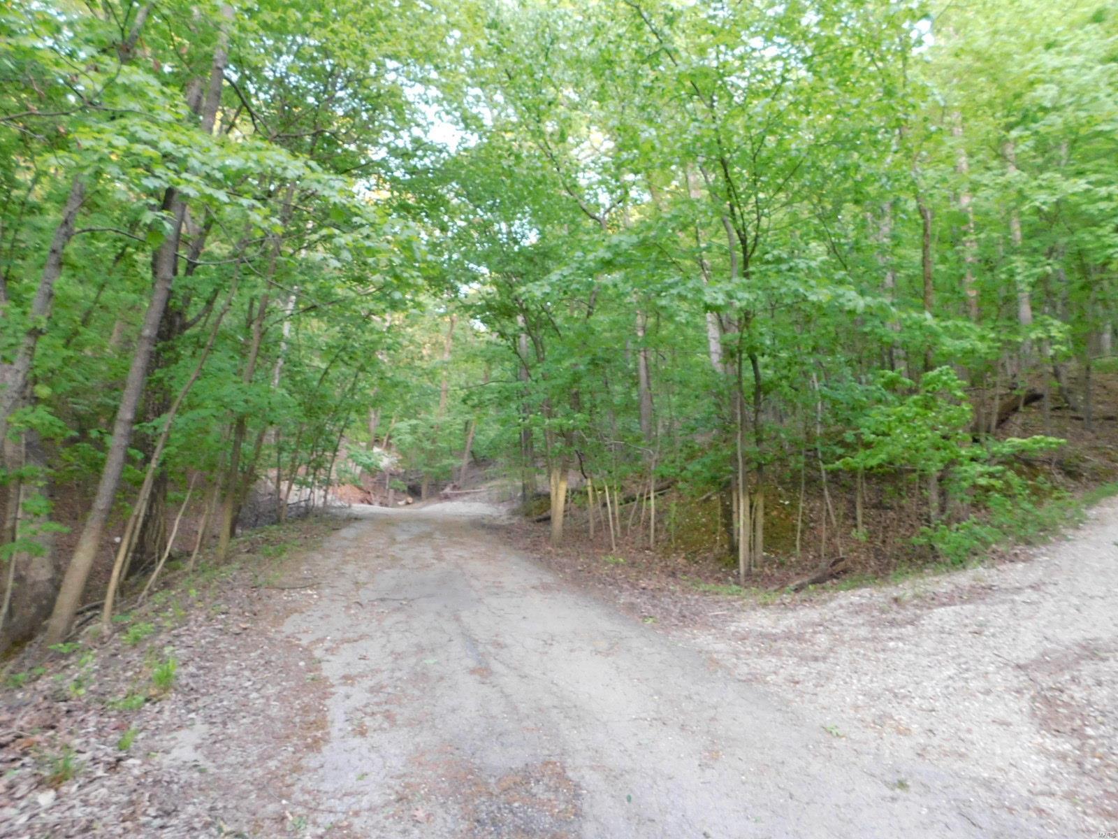 16 Maple Tree Lane Eureka, MO 63025 - Photo 3 of 14