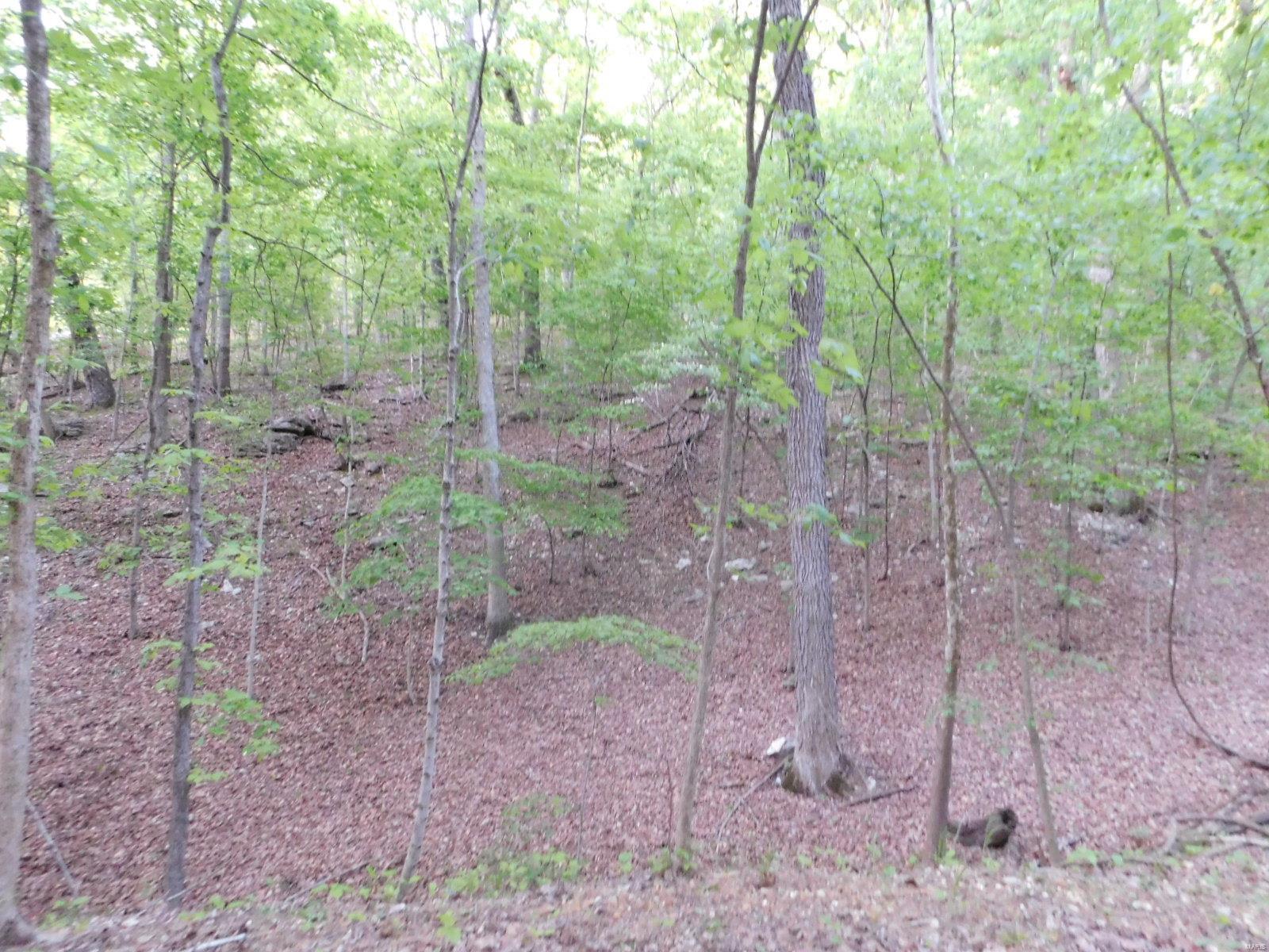 16 Maple Tree Lane Eureka, MO 63025 - Photo 4 of 14