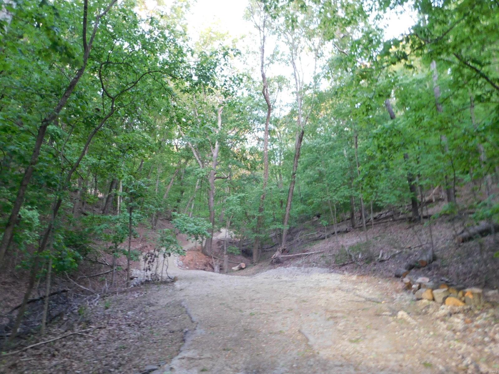 16 Maple Tree Lane Eureka, MO 63025 - Photo 5 of 14