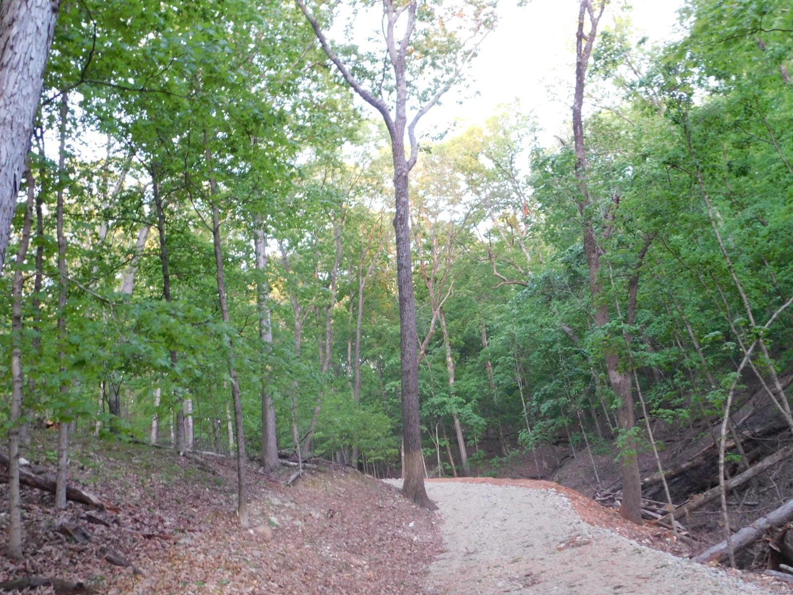 16 Maple Tree Lane Eureka, MO 63025 - Photo 8 of 14