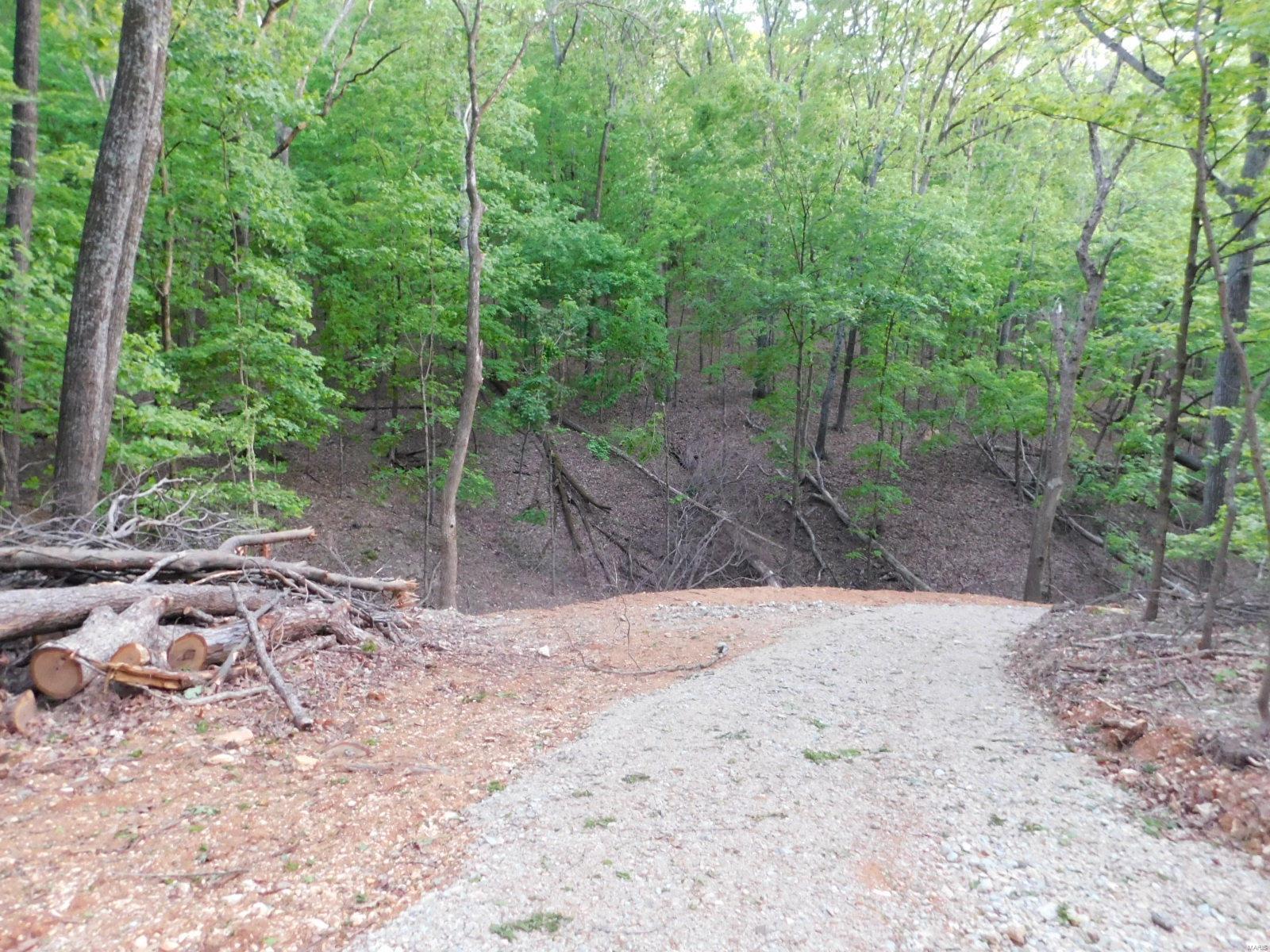 16 Maple Tree Lane Eureka, MO 63025 - Photo 9 of 14