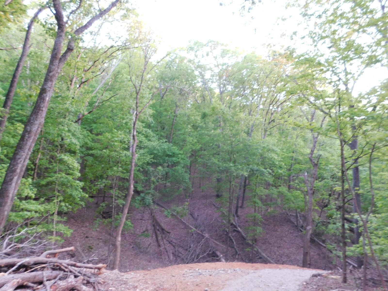 16 Maple Tree Lane Eureka, MO 63025 - Photo 10 of 14