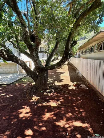 a view of street with large tree