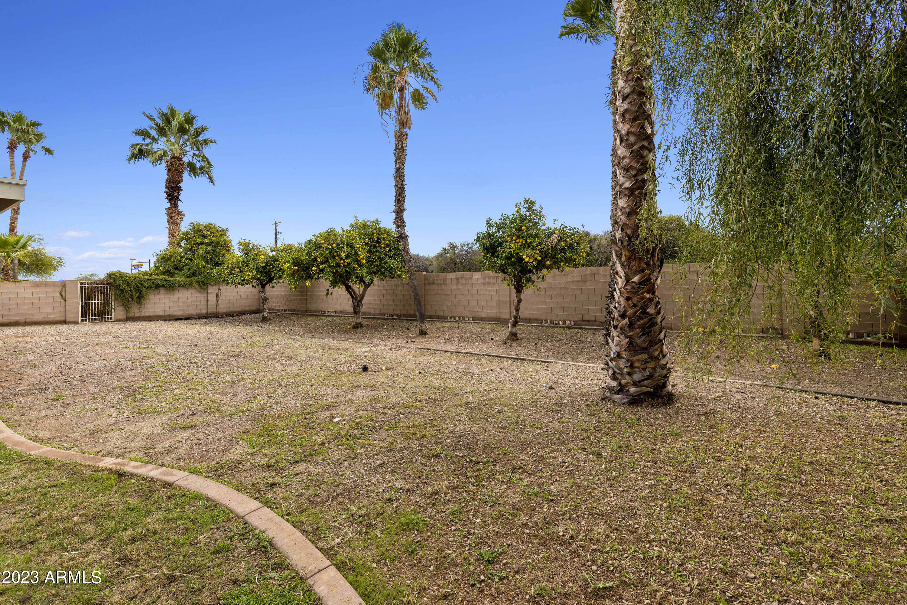24320 South 183rd Street Gilbert, AZ 85298 - Photo 56 of 79 PAT_9815
