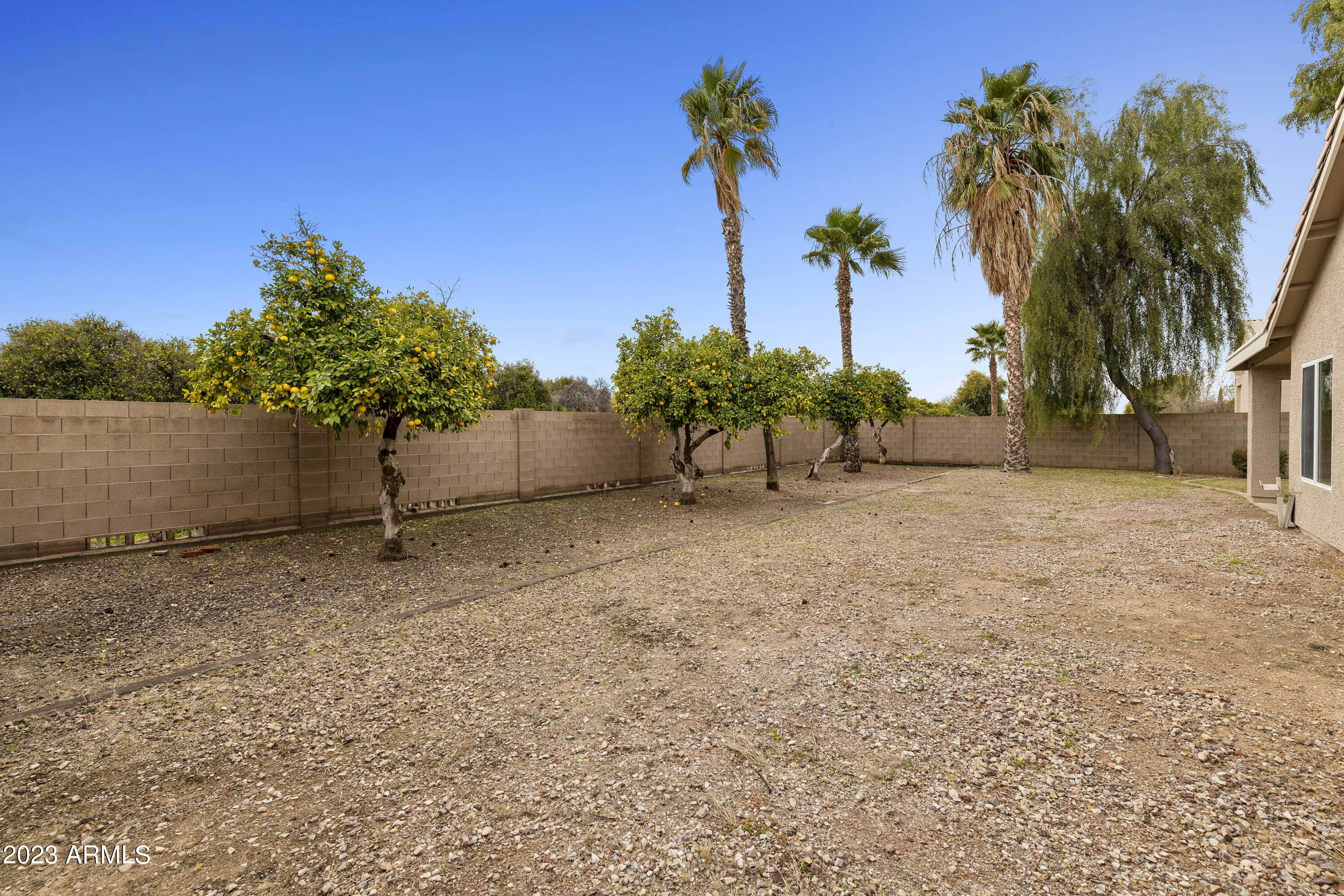 24320 South 183rd Street Gilbert, AZ 85298 - Photo 57 of 79 PAT_9816