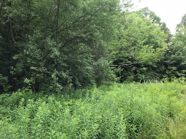 137 Mixter Road Holden, MA 01520 - Photo 16 of 23