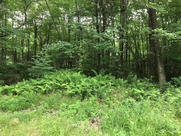 137 Mixter Road Holden, MA 01520 - Photo 17 of 23