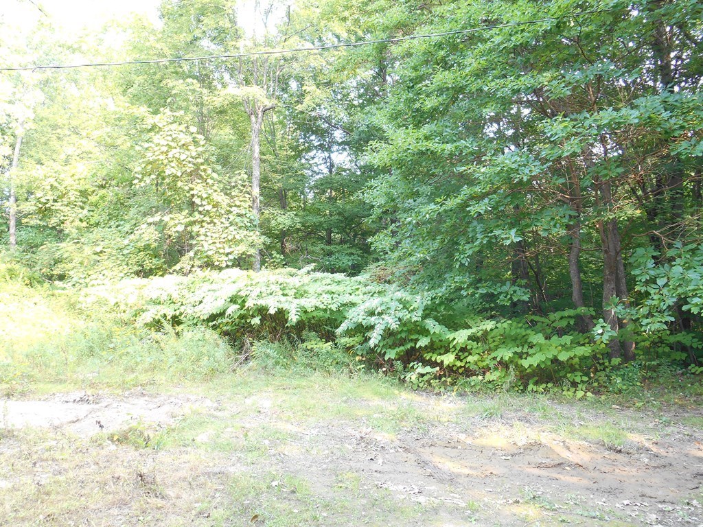 137 Mixter Road Holden, MA 01520 - Photo 20 of 23