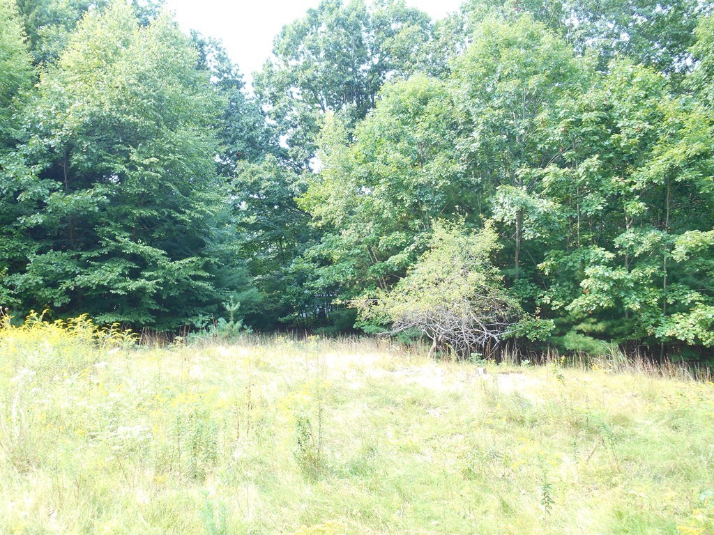 137 Mixter Road Holden, MA 01520 - Photo 21 of 23