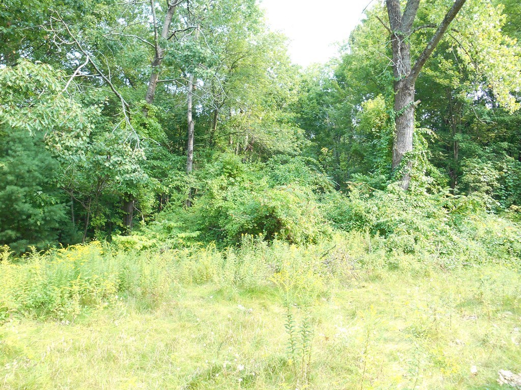 137 Mixter Road Holden, MA 01520 - Photo 23 of 23