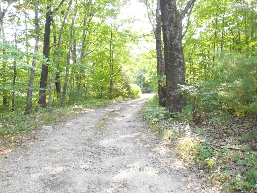 137 Mixter Road Holden, MA 01520 - Photo 3 of 23