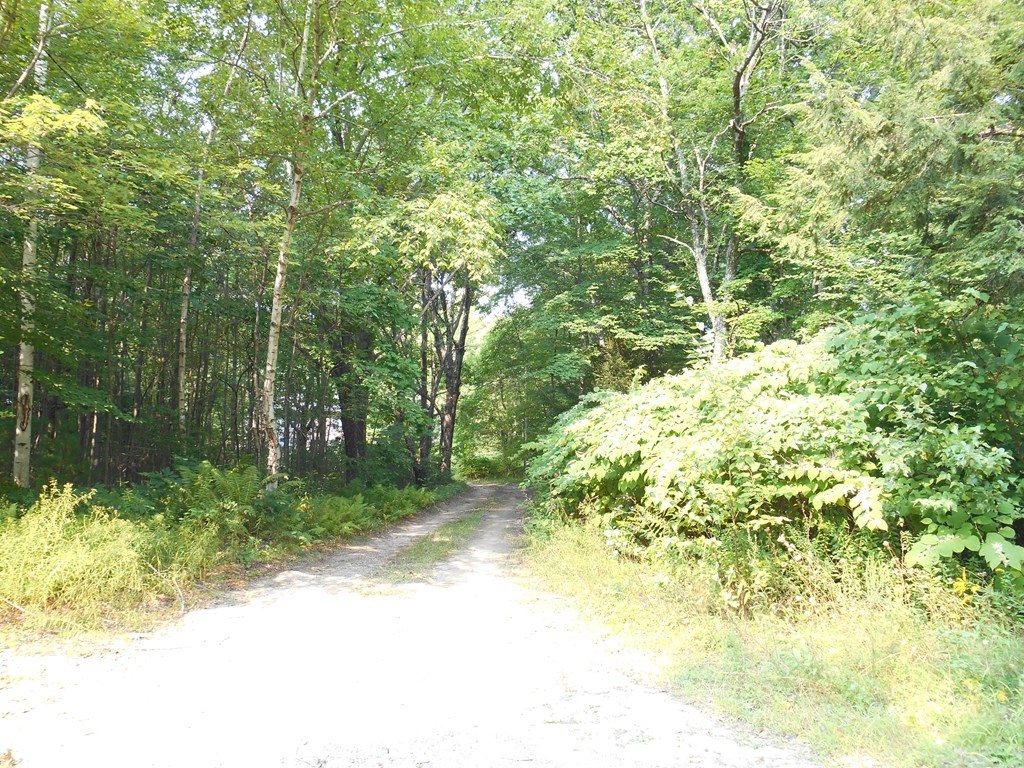 137 Mixter Road Holden, MA 01520 - Photo 5 of 23