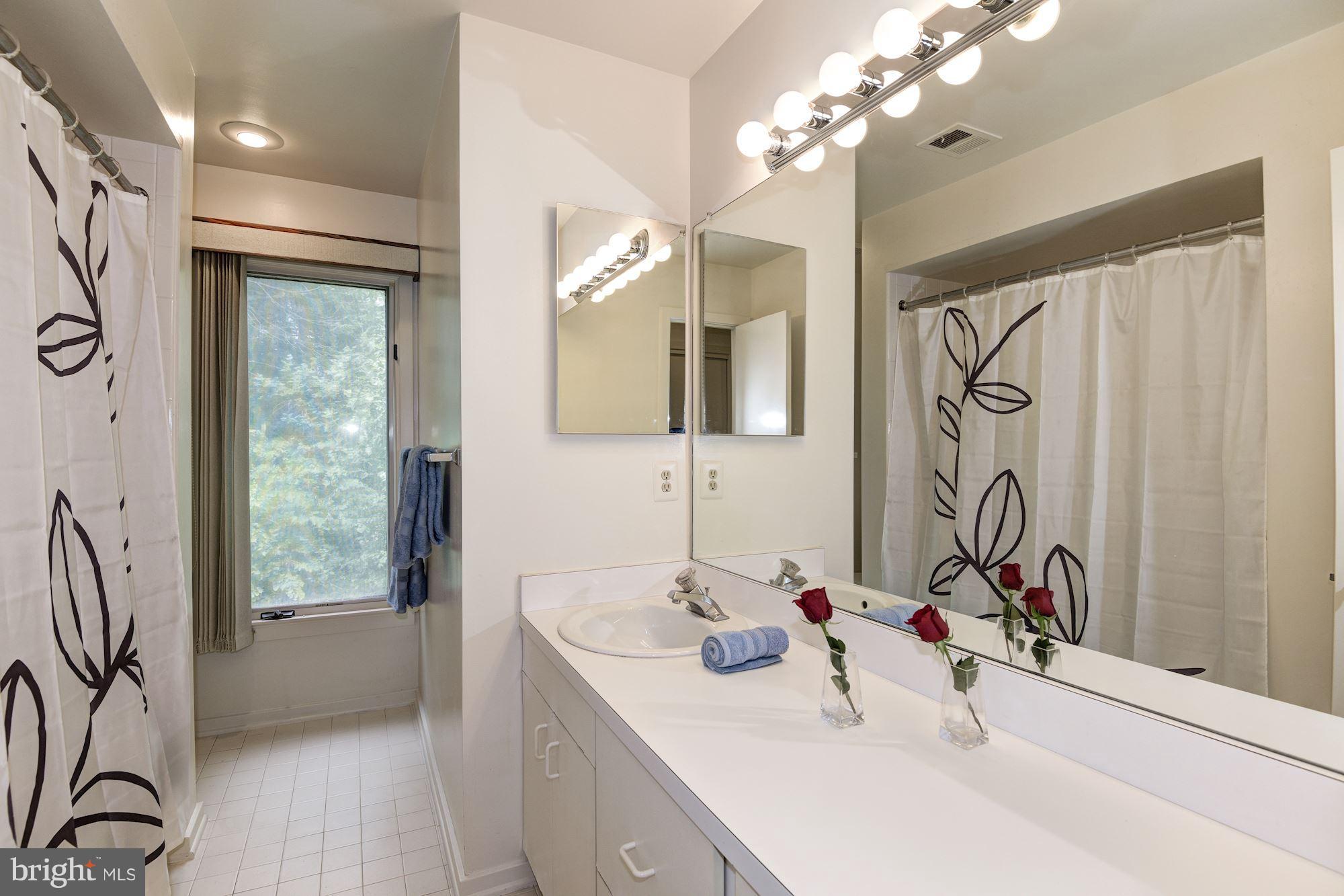 1658 Wild Pine Way Reston, VA 20194 - Photo 22 of 30 Bathroom 2