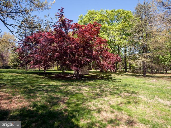 2224 North Stone Ridge Lane Villanova, PA 19085 - Photo 20 of 21