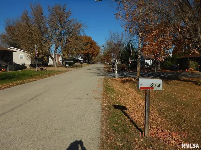a street view covered with tall trees