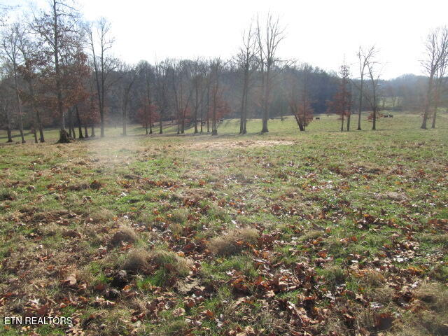 503 Emory Road Blaine, TN 37709 - Photo 20 of 28 IMG_4264