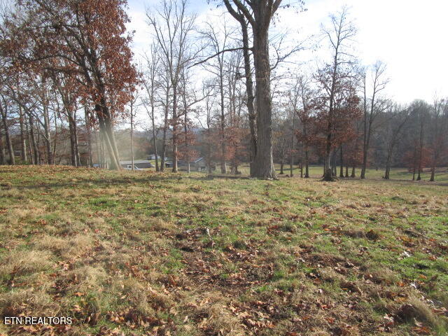 503 Emory Road Blaine, TN 37709 - Photo 21 of 28 IMG_4265