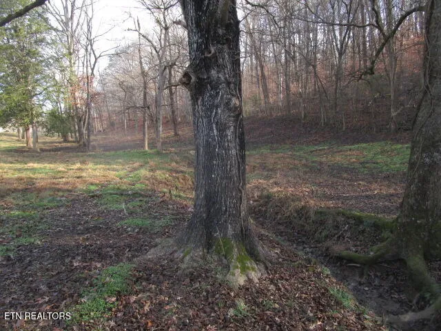 $695,000 | 503 Emory Road, Blaine, TN 37709