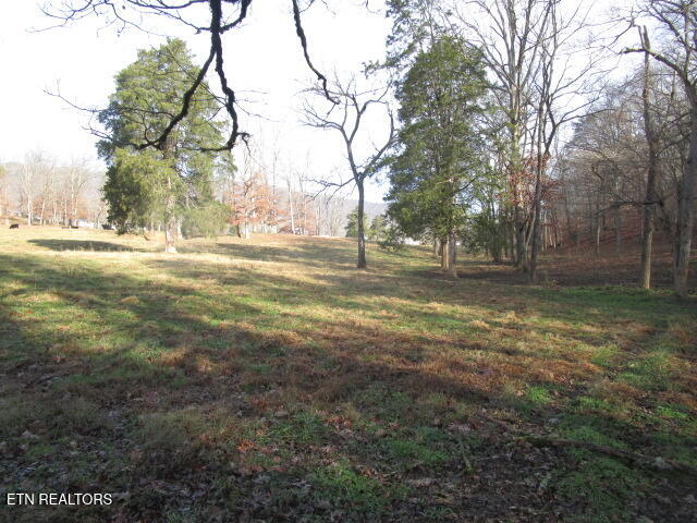 503 Emory Road Blaine, TN 37709 - Photo 25 of 28 IMG_4270