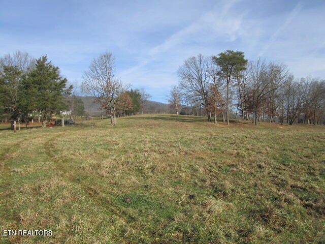 503 Emory Road Blaine, TN 37709 - Photo 4 of 28 IMG_4266