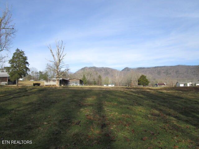503 Emory Road Blaine, TN 37709 - Photo 5 of 28 IMG_4272