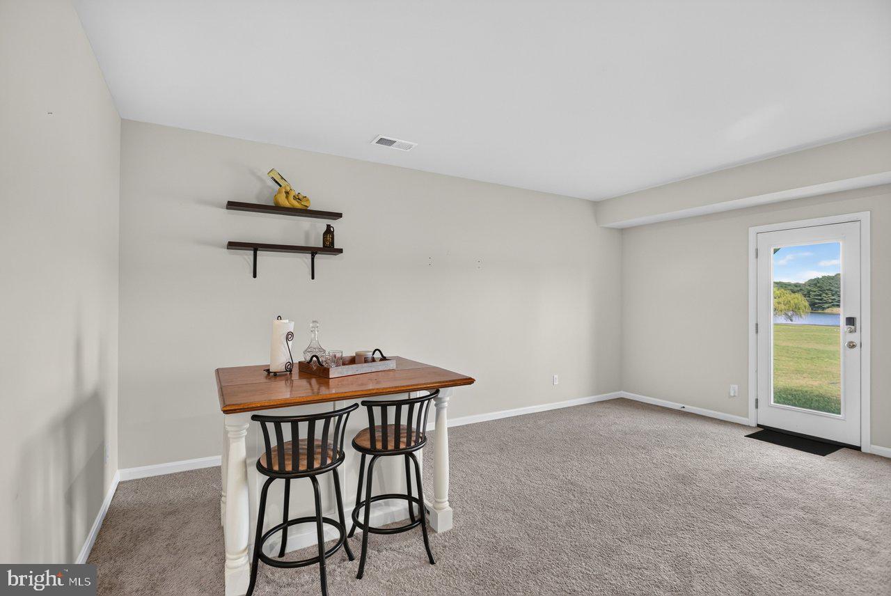 115 Waterfront Drive Raphine, VA 24472 - Photo 34 of 49 basement