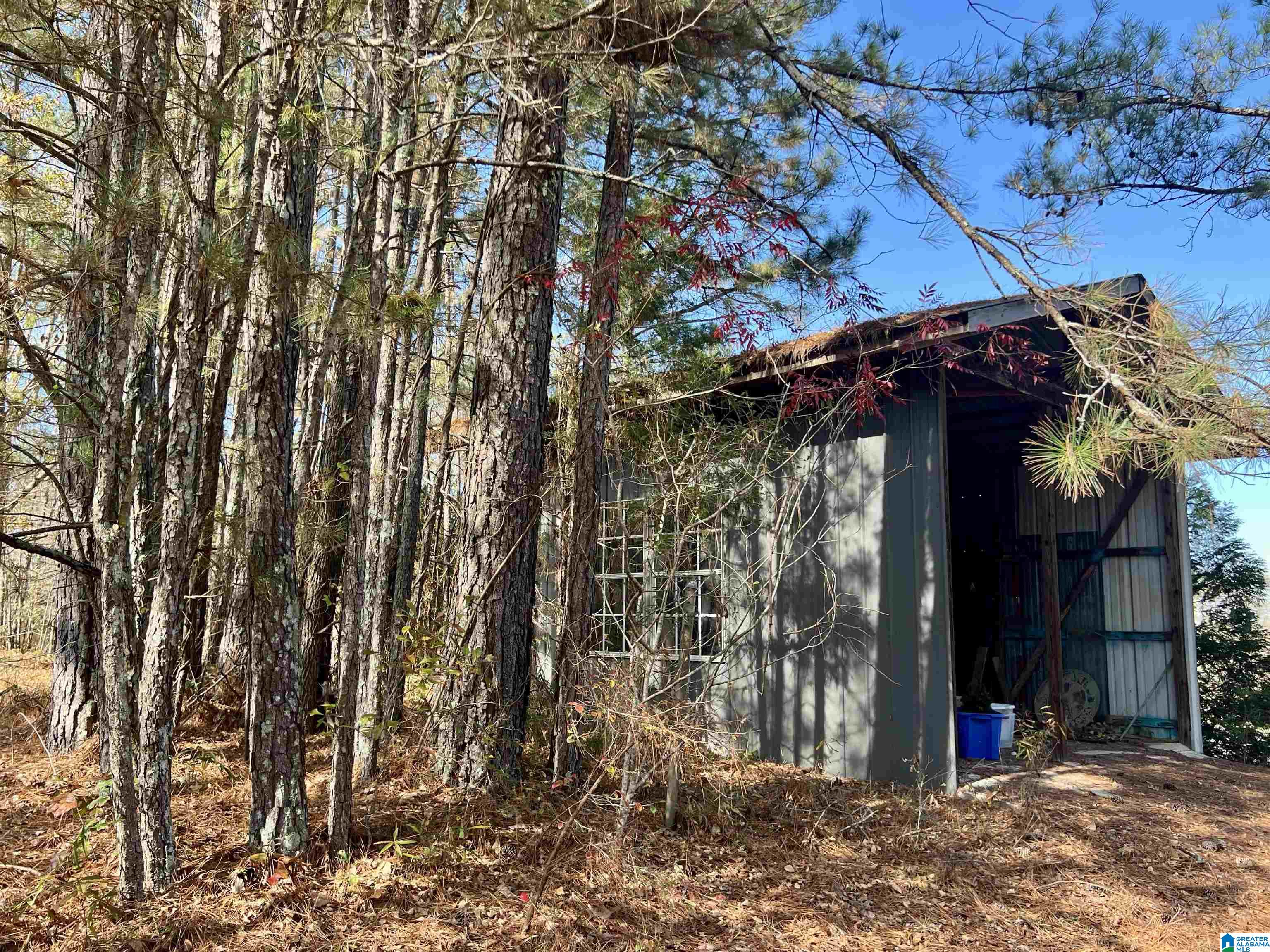 151 Mill Street Wedowee, AL 36278 - Photo 19 of 31