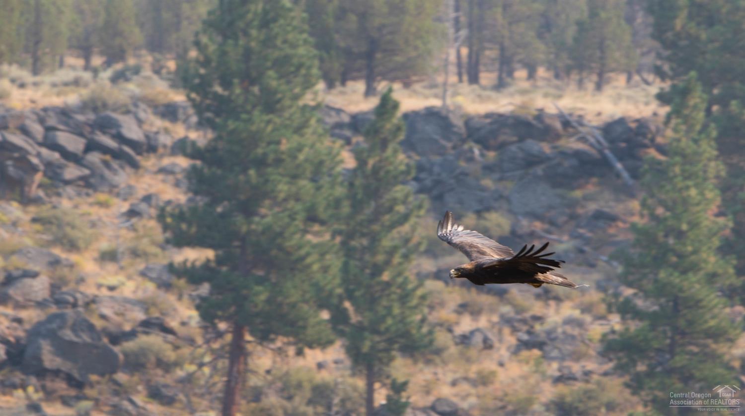 17231 Mountain View Road Sisters, OR 97759 - Photo 11 of 22 This is not Photoshopped... The nest fea