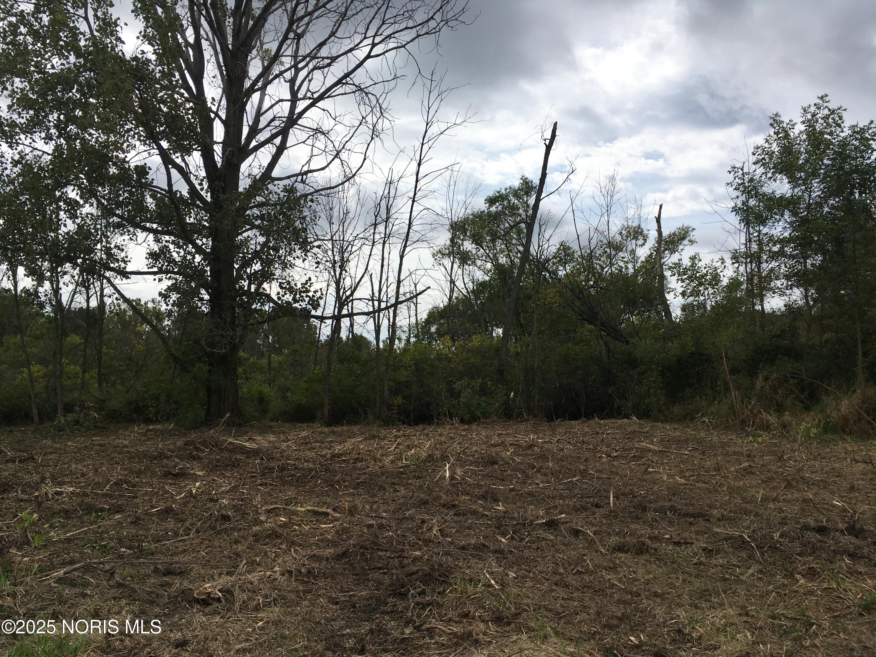 8800 Cedar Point Road Oregon, OH 43616 - Photo 8 of 13 2019 Cleared