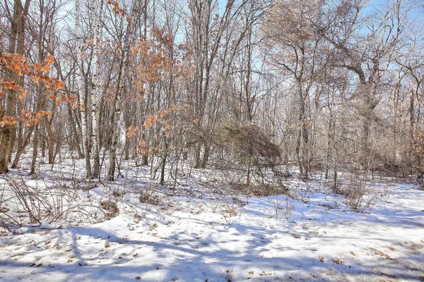 $165,000 | 19062 Heather Street Northwest, Oak Grove, MN 55011