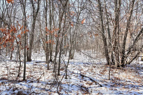 $165,000 | 19062 Heather Street Northwest, Oak Grove, MN 55011