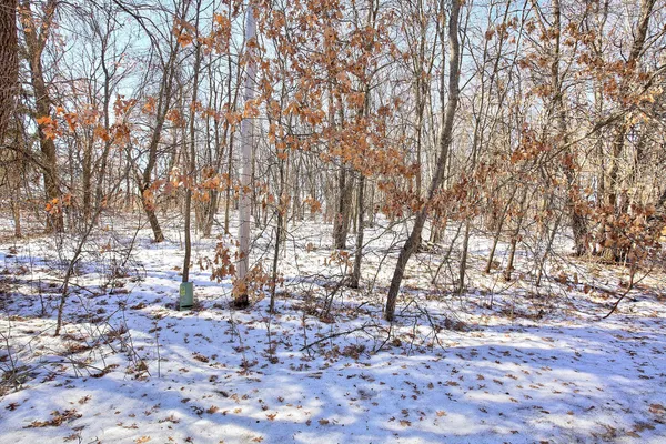 $165,000 | 19062 Heather Street Northwest, Oak Grove, MN 55011