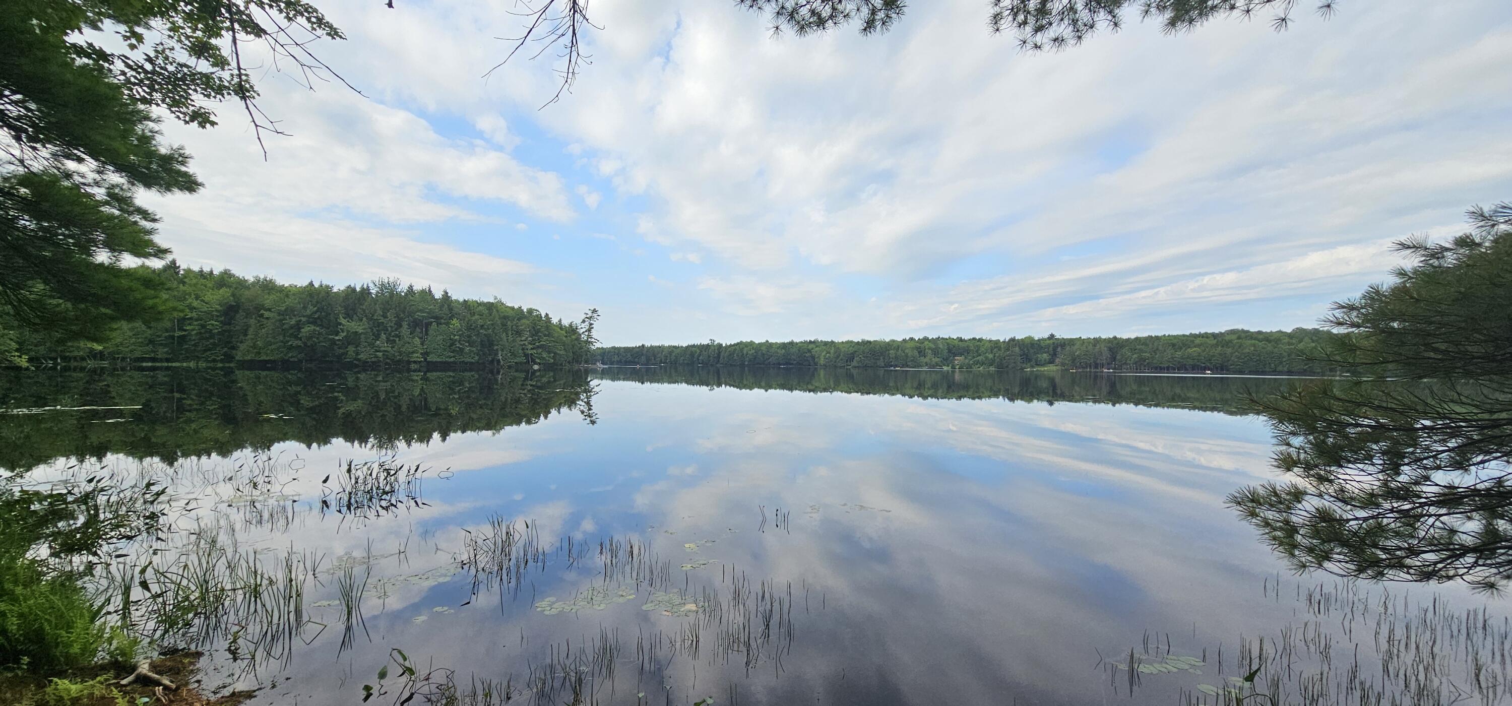 776 Fahi Pond Road Embden, ME 04958 - Photo 18 of 46 18. Water View