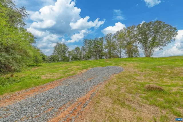 a view of a garden with large trees