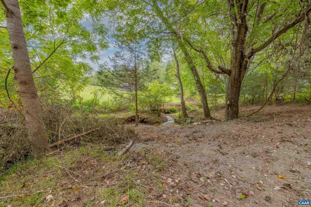 $95,000 | 0 Horn Hollow Lane, Madison, VA 22727