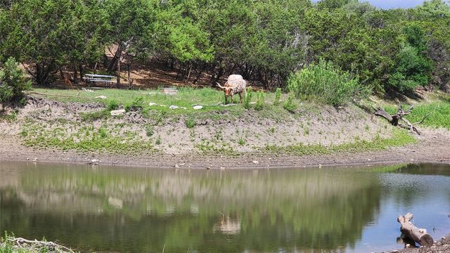 a backyard of a house with a lake yard and outdoor seating