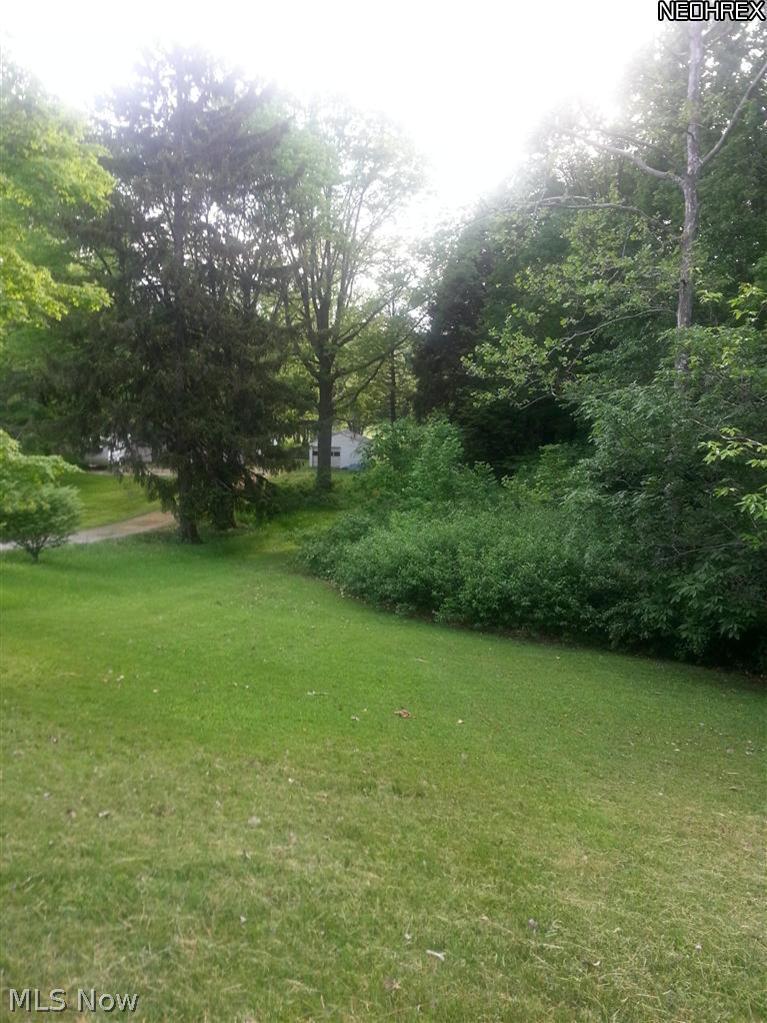 11018 Lagrange Road Elyria, OH 44035 - Photo 2 of 18 Front Yard