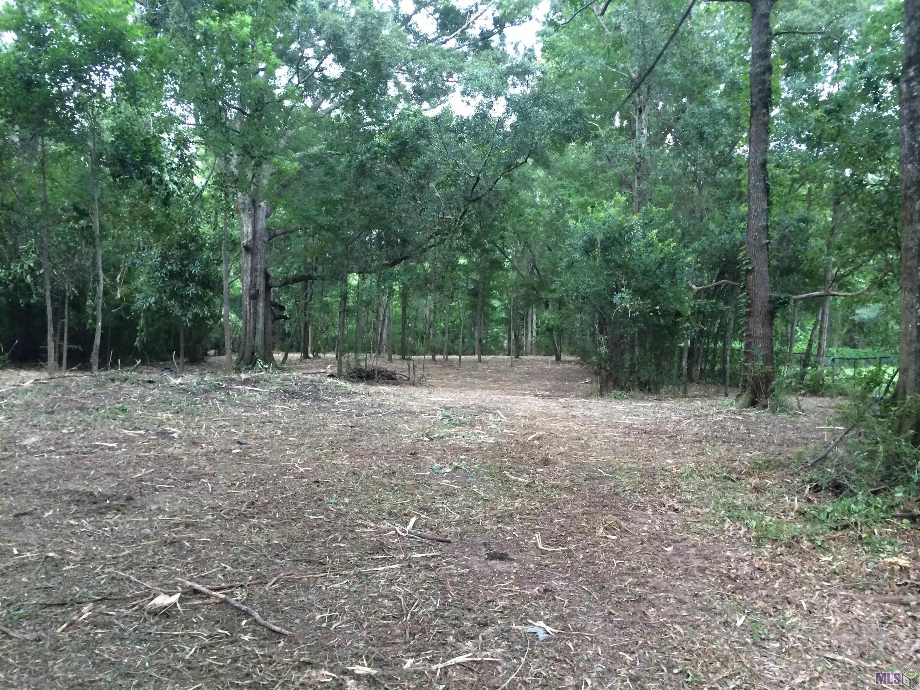 12372 Springfield Road Denham Springs, LA 70706 - Photo 1 of 5