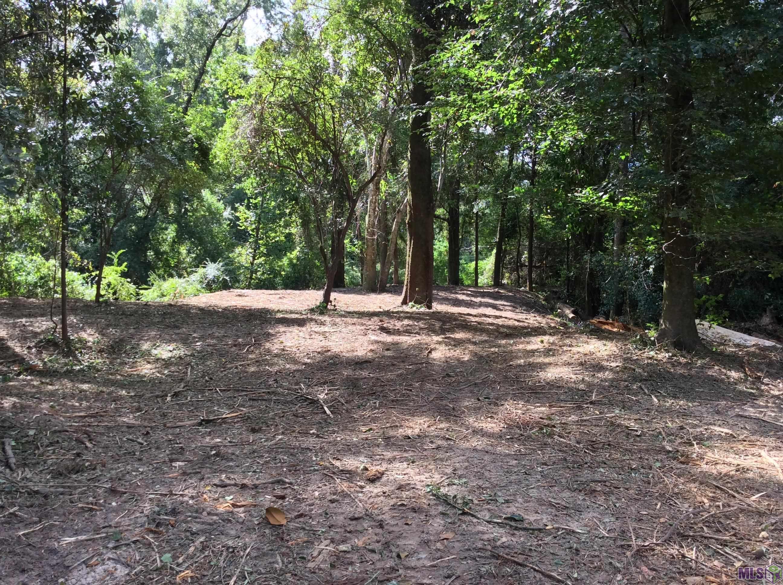 12372 Springfield Road Denham Springs, LA 70706 - Photo 2 of 5