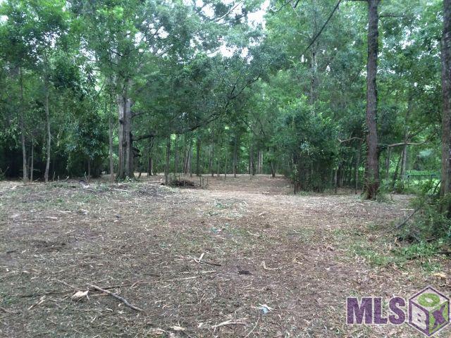 12372 Springfield Road Denham Springs, LA 70706 - Photo 3 of 5